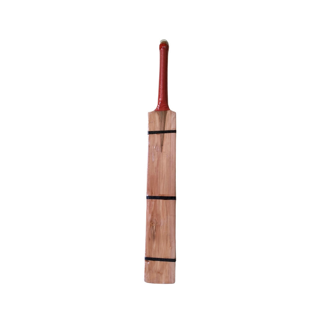 UD SPORTS Tennis Willow Single Blade Kashmir Willow Cricket Bat For 15+ Yrs  (1 kg)