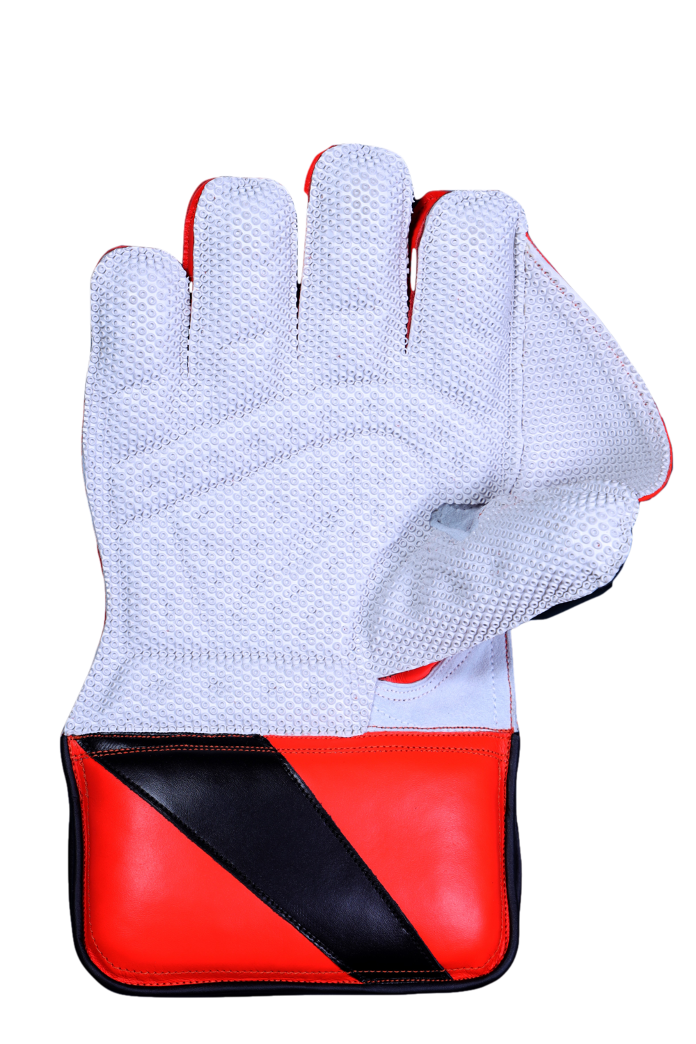 Royal Touch | RNS Larsons Cricket Wicket Keeping Gloves
