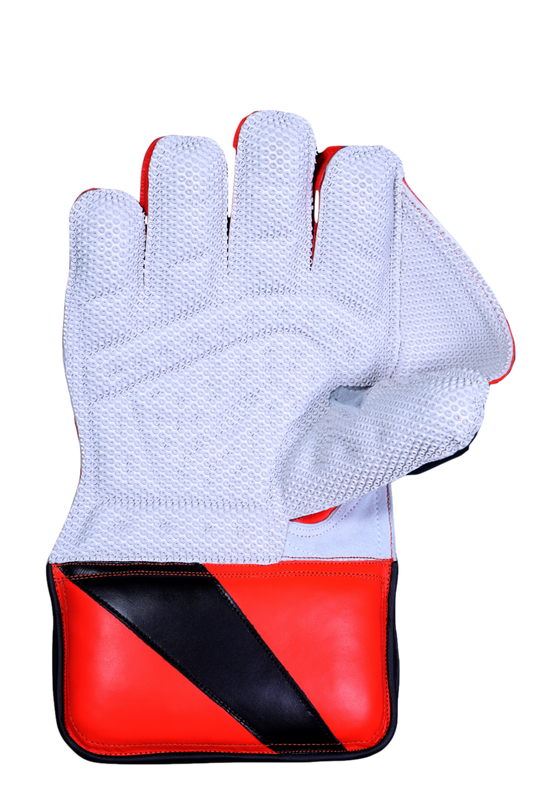Royal Touch | RNS Larsons Cricket Wicket Keeping Gloves